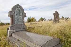 undercliffe september 26 2011 david kay md sm.jpg